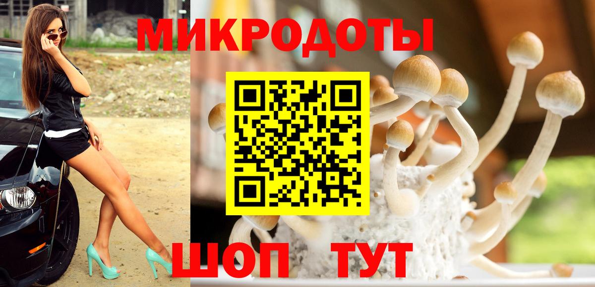 Галлюциногенные грибы мухоморы Майский